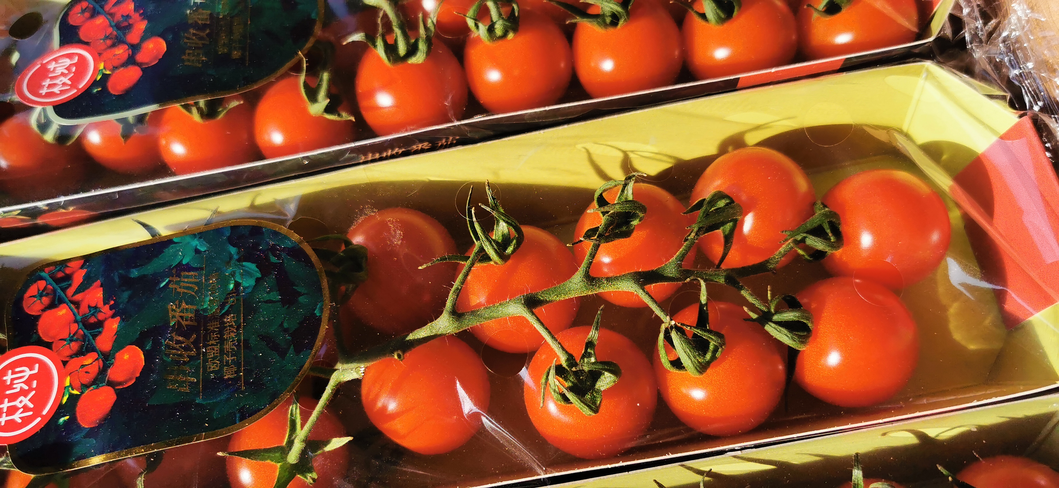 枝纯串千禧655盒