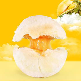 【榴弹炮-火力全开】流心榴莲酥饼 508克/盒 约10枚 流心的 榴莲酱心 甜蜜好吃 佬食仁 包邮