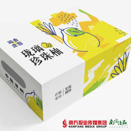 【全国包邮】珑璃珍珠柚——爆汁葡萄柚 （72小时内发货） 商品图0