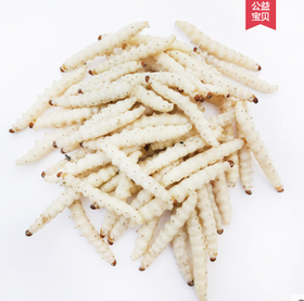 竹虫  规格可选  批
