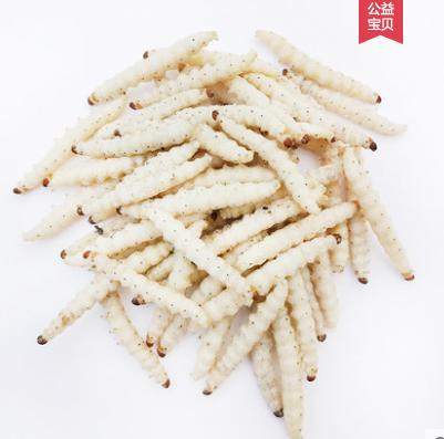 竹虫  规格可选  批 商品图0
