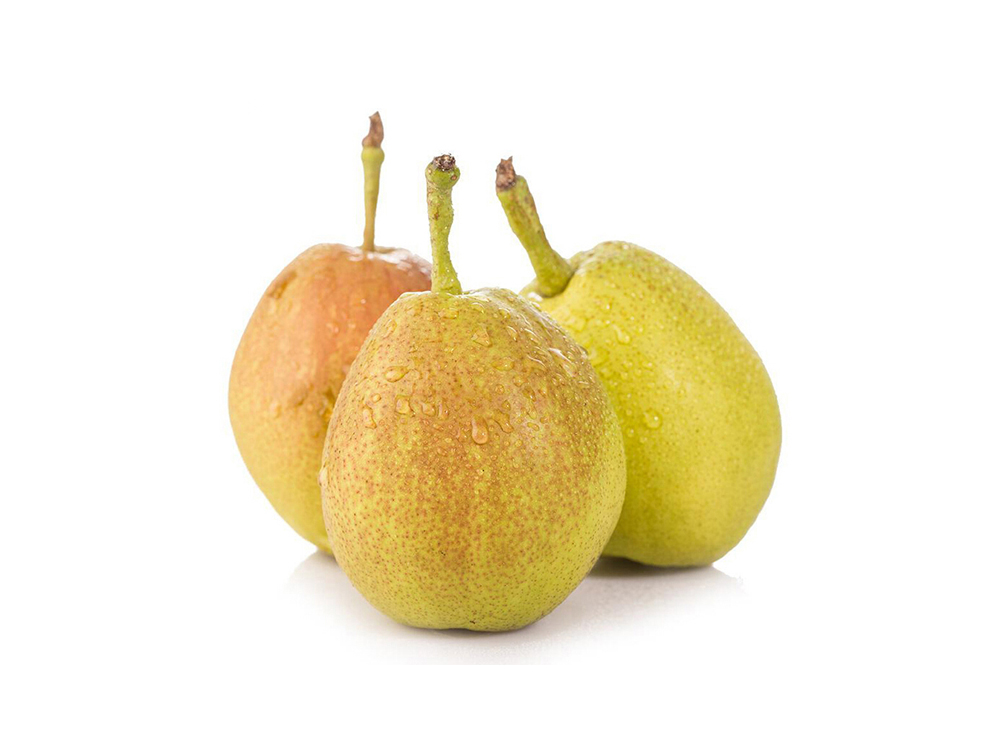 新疆库尔勒香梨