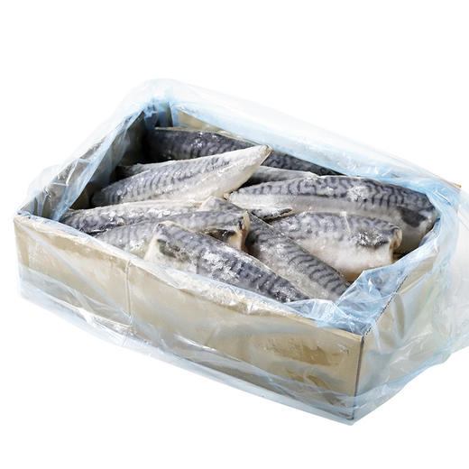 烧烤原味去头尾青花鱼片  5kg 商品图3