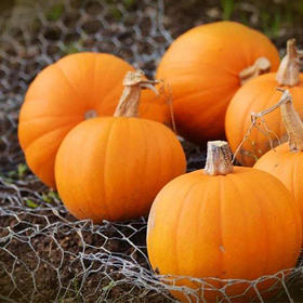  专家Talk | 痘痘，毛囊炎，傻傻分不清楚？ 