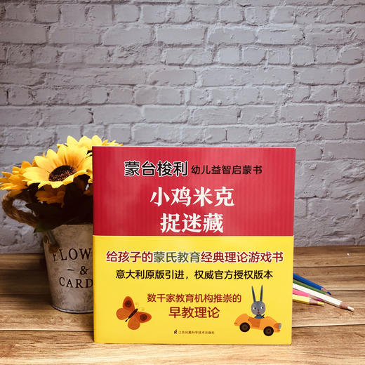 新书预售 蒙台梭利幼儿益智启蒙书 10册5~6岁 蒙氏教育经典益智力提升贴纸 商品图1