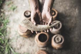 Biodynamic Burgundy