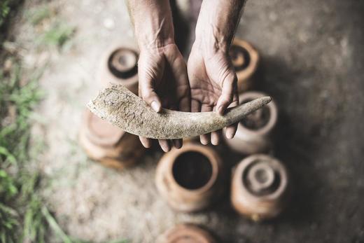 Biodynamic Burgundy 商品图0