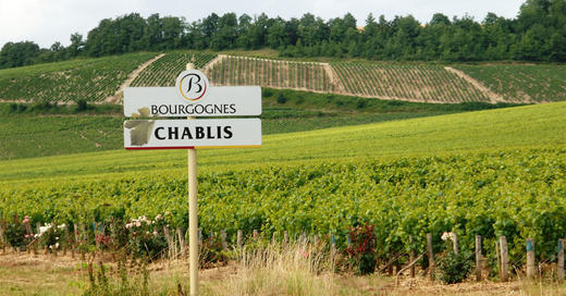 Chablis and Mâconnais 商品图0