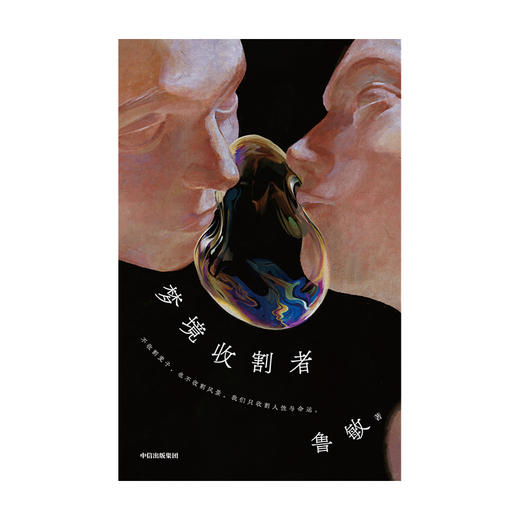 【官微专享】梦境收割者 鲁敏 著  鲁迅文学奖 人民文学奖得主鲁敏全新中短篇小说集 都市生活 中信出版社图书 正版 商品图2