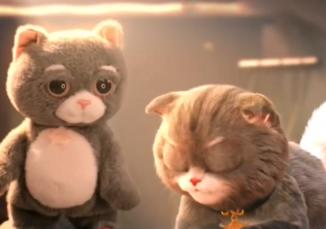 趣巢抖喵 商品图0