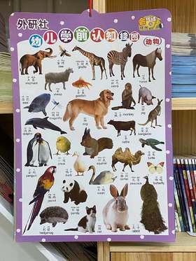 外研社幼儿学前认知挂图（点读版）