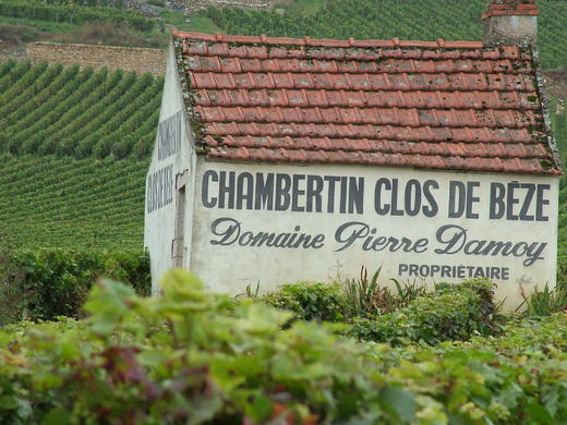 Grand Cru Burgundy: Chambertin Clos de Bèze 商品图0