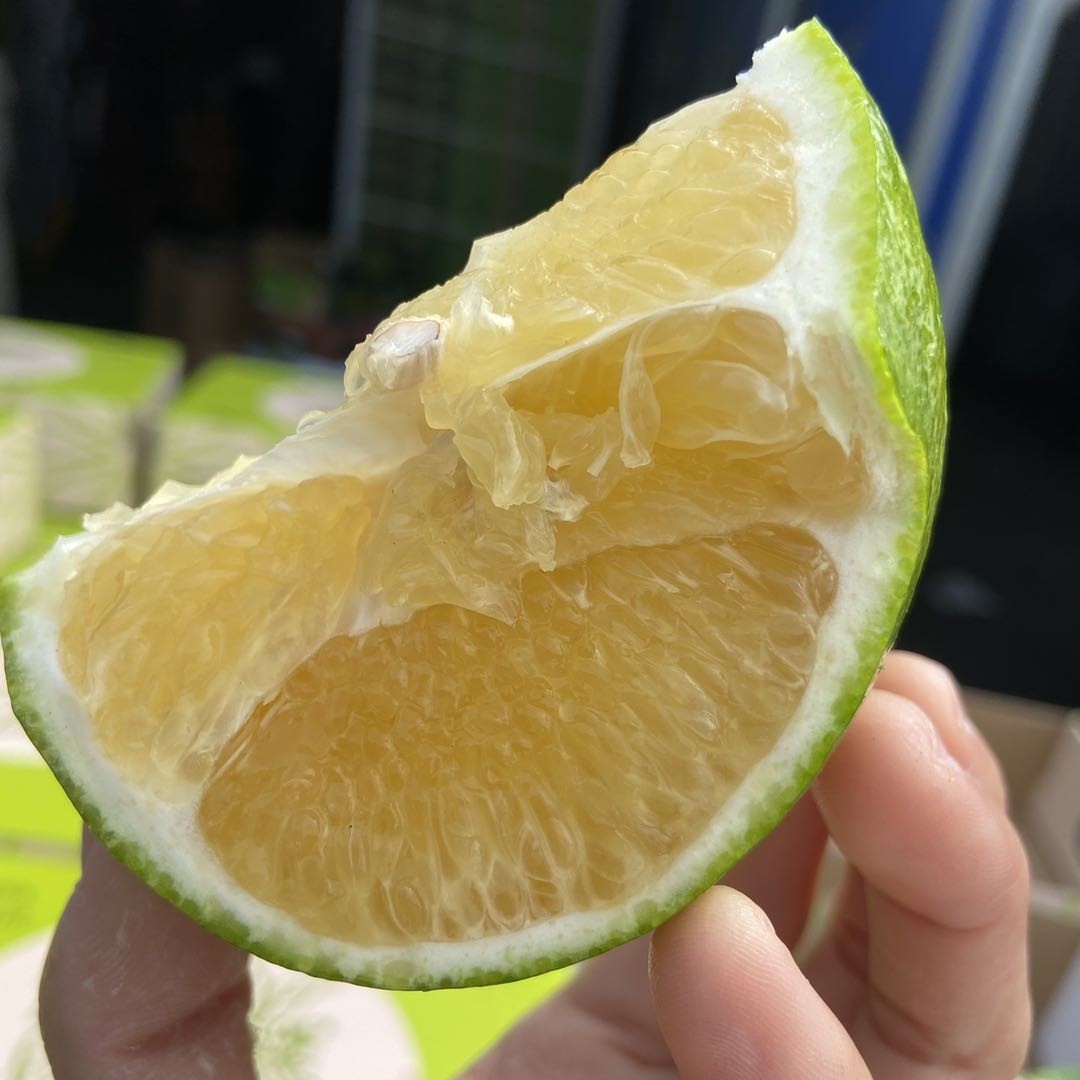 爆汁蜜甜【台湾青柚】15.8元一颗