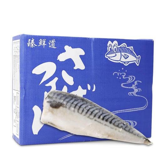 烧烤原味去头尾青花鱼片  5kg 商品图1