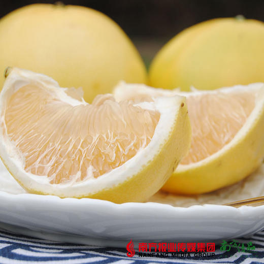 【全国包邮】珑璃珍珠柚——爆汁葡萄柚 （72小时内发货） 商品图1