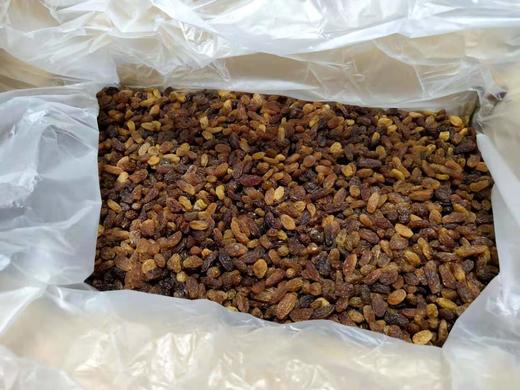 红葡萄干 商品图2