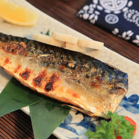 烧烤原味去头尾青花鱼片  5kg