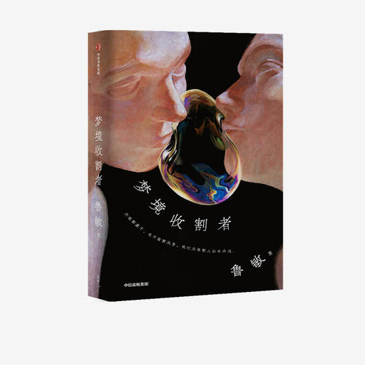 【官微专享】梦境收割者 鲁敏 著  鲁迅文学奖 人民文学奖得主鲁敏全新中短篇小说集 都市生活 中信出版社图书 正版 商品图1