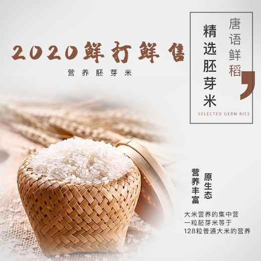 唐语鲜稻胚芽米 产自兴安盟大兴安岭，2020年10月新米新鲜现磨现售 商品图0