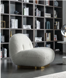 轻奢绒布休闲椅RW-BOJA1008