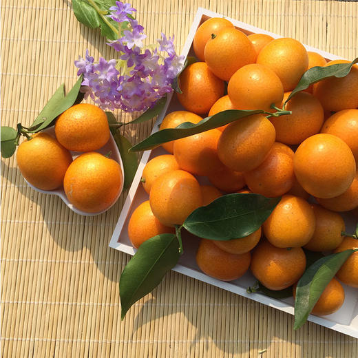 融安脆蜜金柑 蜜甜多汁 商品图1
