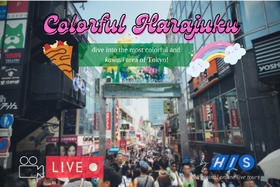 【云游日本】原宿多彩之旅～～动物咖啡馆和流行文化～～