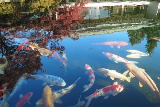 日本艺术与设计活动建筑-历史建筑一 商品图4