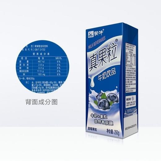 6折清仓/原价42 蒙牛 真果粒 牛奶饮品 蓝莓 250g*12礼盒装 2021年  月  日前饮用 商品图9