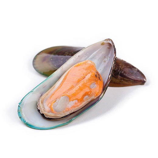 海鲜食材新西兰半壳青口贝  1kg 商品图4