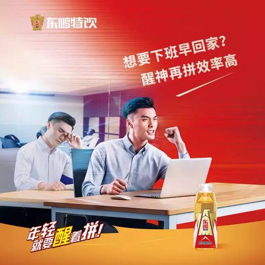 东鹏维生素功能饮料500ml提神醒脑补充能量 商品图3