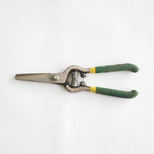 龙华枝剪(直咀)8″ 商品图0