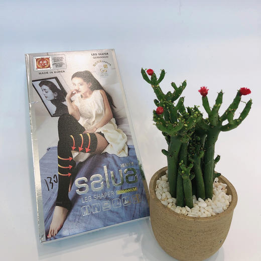 袜子（短） 商品图0