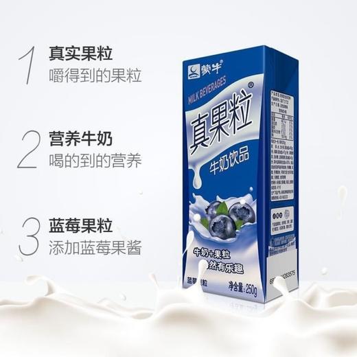 6折清仓/原价42 蒙牛 真果粒 牛奶饮品 蓝莓 250g*12礼盒装 2021年  月  日前饮用 商品图2