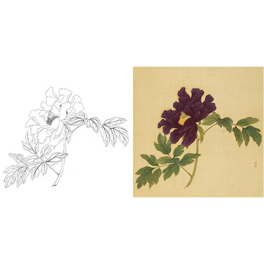 清 蒋廷锡 牡丹谱工笔花鸟白描底稿-斗方小品册页 JT05 商品图0