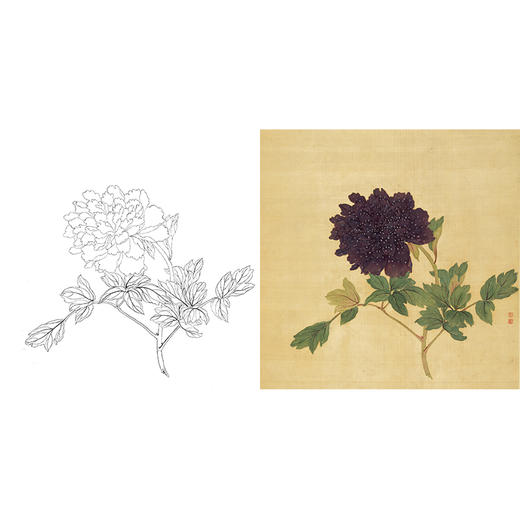 清 蒋廷锡 牡丹谱工笔花鸟白描底稿-斗方小品册页JT10 商品图0