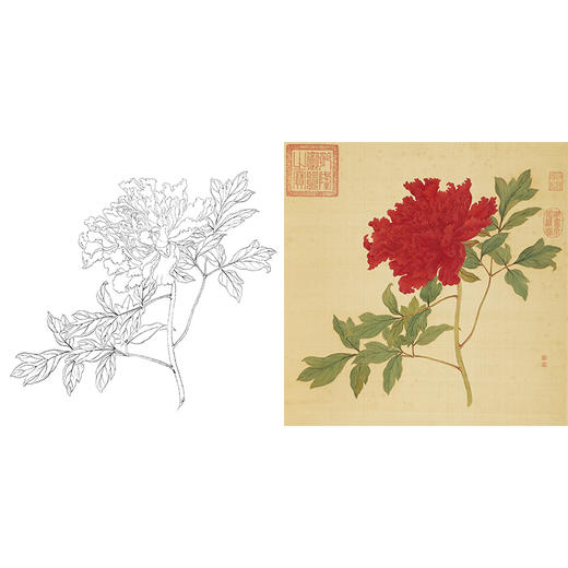 清 蒋廷锡 牡丹谱工笔花鸟白描底稿-斗方小品册页 JT06 商品图0