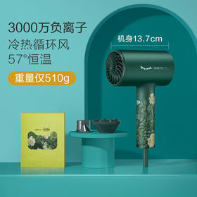 bgf 素士 H5电吹风机 梵高联名款