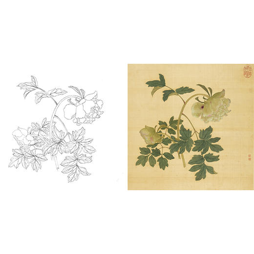 清 蒋廷锡 牡丹谱工笔花鸟白描底稿-斗方小品册页 JT07 商品图0