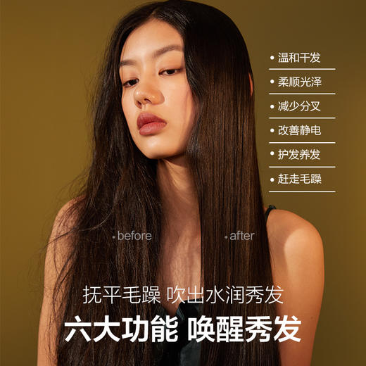 bgf 素士 H5电吹风机 梵高联名款 商品图4