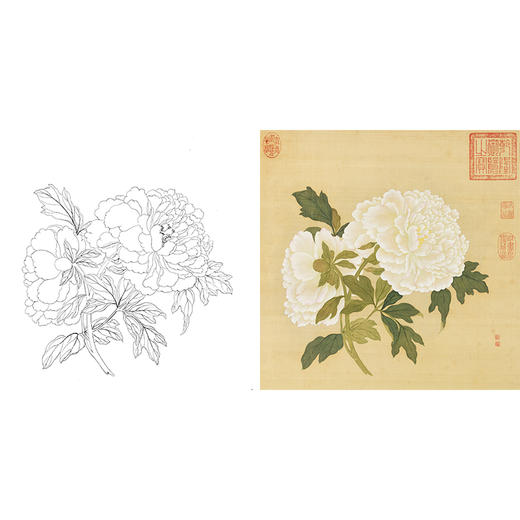 清 蒋廷锡 牡丹谱工笔花鸟白描底稿-斗方小品册页 JT01 商品图0