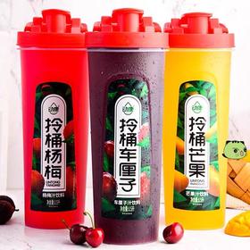 动康拎桶杨梅/芒果/车厘子汁1.5L/桶