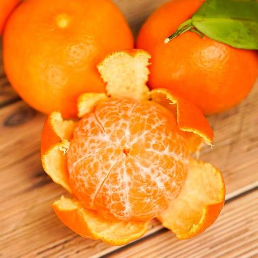 沙糖桔   1000g±50  新鲜水果 商品图0