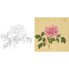 清 蒋廷锡 牡丹谱工笔花鸟白描底稿-斗方小品册页 JT08 商品缩略图0