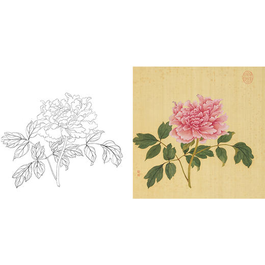 清 蒋廷锡 牡丹谱工笔花鸟白描底稿-斗方小品册页 JT08 商品图0