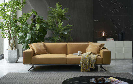 DC-XMX-J-9778 商品图0