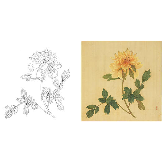 清 蒋廷锡 牡丹谱工笔花鸟白描底稿-斗方小品册页 JT03 商品图0