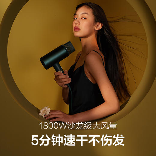 bgf 素士 H5电吹风机 梵高联名款 商品图3