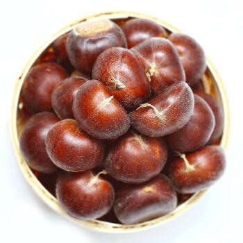 【10元/约3斤】生栗子（1500143） 商品图0