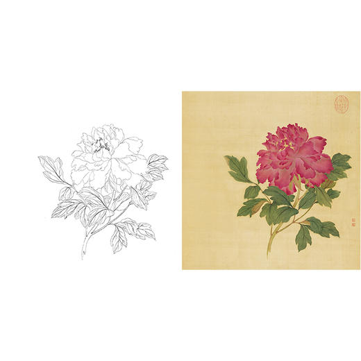 清 蒋廷锡 牡丹谱工笔花鸟白描底稿-斗方小品册页 JT09 商品图0