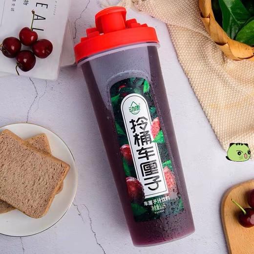 动康拎桶杨梅/芒果/车厘子汁1.5L/桶 商品图2